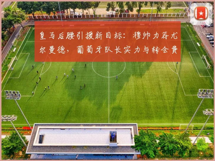皇马后腰引援新目标:穆帅力荐尤尔曼德,葡萄牙队长实力与转会费解析